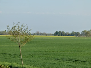 Blick über die Weiten der angrenzenden Felder