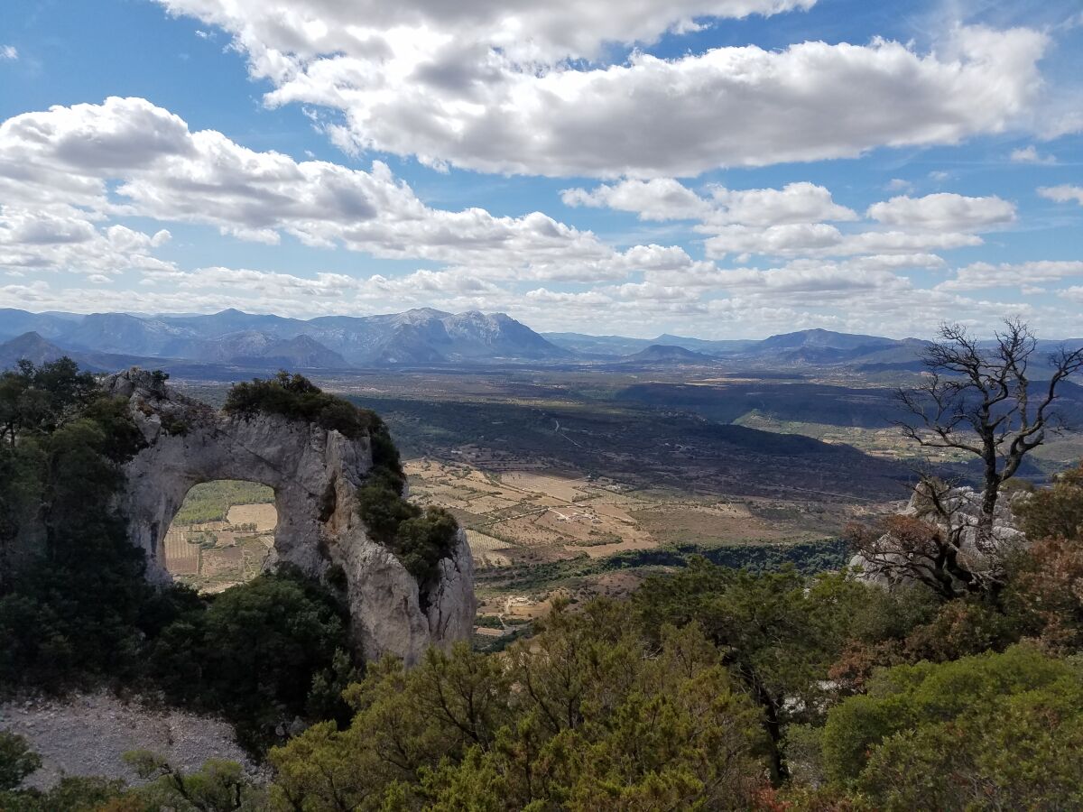 Aussicht ins Landesinnere vom Hausberg Tutta Vista aus