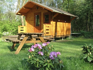 Holiday house Echten (Drenthe) Outdoor Recording 1