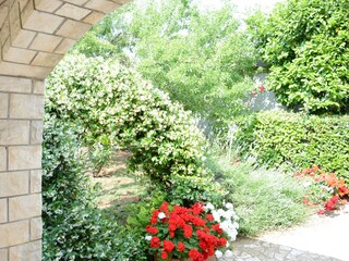 Vakantieappartement Novigrad (Istrien) Omgeving 5