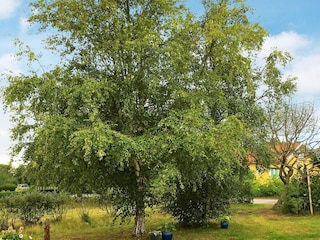 Holiday house Heberg  10