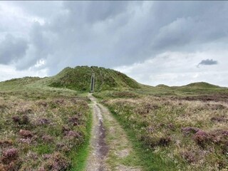 Vakantiehuis Kongsmark  11