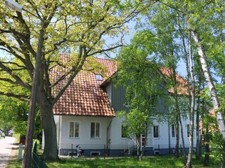 Holiday apartment Prerow Outdoor Recording 2