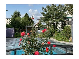 Ferienwohnung Magdeburg Außenaufnahme 19