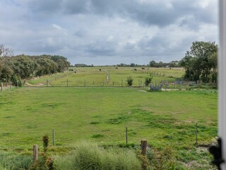 Landschaft