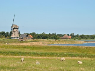 Vakantiehuis Den Burg Omgeving 22