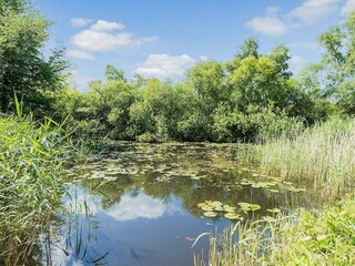 Vakantiehuis Udsholt Strand Buitenaudio-opname 4