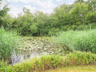 Vakantiehuis Udsholt Strand  44