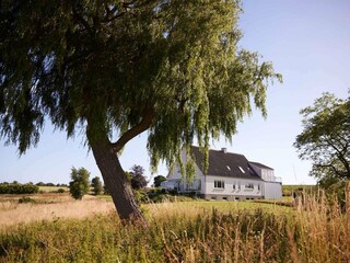 Ferienhaus Helnæs Außenaufnahme 7