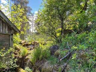 Holiday house Kristdala Outdoor Recording 8