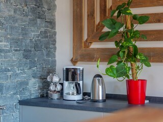 Appartement Mittersill  41