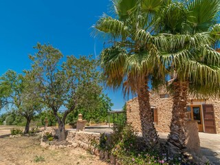 Villa S'Aranjassa  29