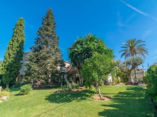Villa Lloseta  4