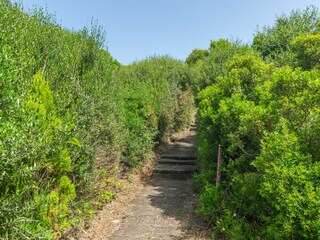 Apartamento Cala en Blanes  21
