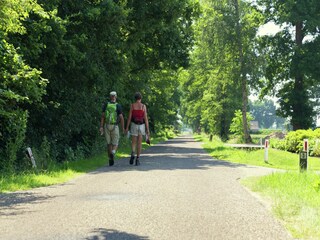 Parc de vacances Rijssen Environnement 12