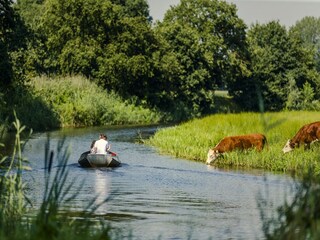 Parc de vacances Rijssen Environnement 18