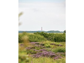 Leuchtturm Ameland