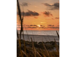 Strand Ameland