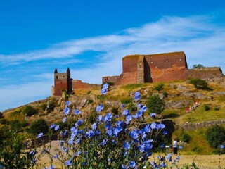 Vakantiepark Allinge  23