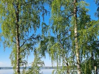 Holiday house Finnland Environment 13