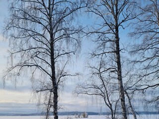 Holiday house Finnland Environment 25