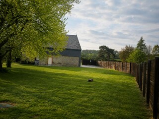Holiday house Gouvy Outdoor Recording 8