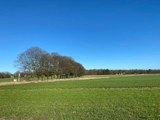 Ferienpark Holten Umgebung 28