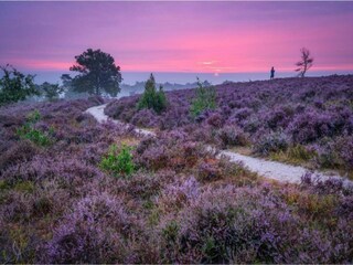 Parco vacanze Holten Ambiente 32