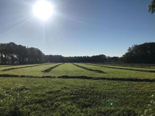 Vakantiepark Holten Omgeving 32