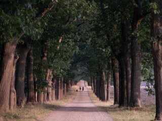 Parc de vacances Holten Environnement 26