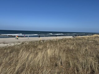 Strand mit Dünen