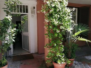 Holiday house Rom Süden Outdoor Recording 5