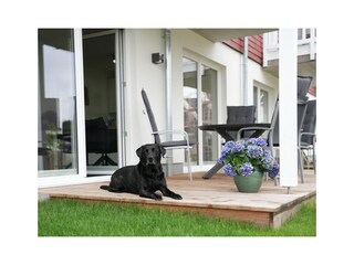 Appartamento per vacanze Nordhorn  42