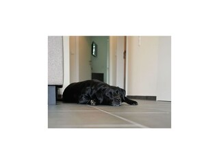 Appartamento per vacanze Nordhorn  43