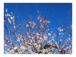 Appartamento per vacanze Cala D'Or Registrazione all'aperto 19