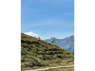 Bergmahd