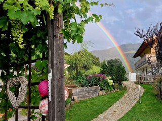 nach dem Gewitter