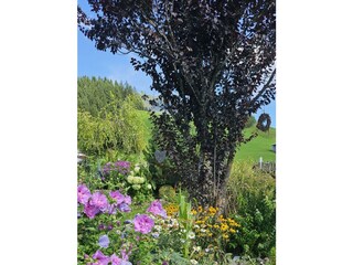 Gartenzaun