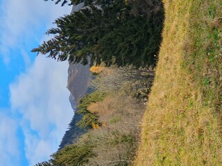 Bilck Richtung Kellerjoch
