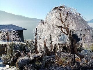 Über der Nebelgrenze