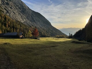 Morgenstummung in der Stallenalm