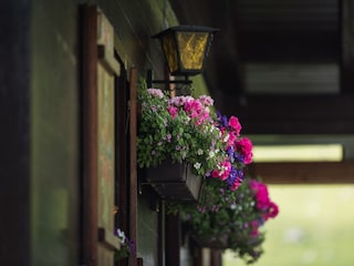 Blumenschmuck Angererghütte