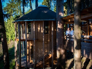 Die einzigartige Grafenaster Waldsauna