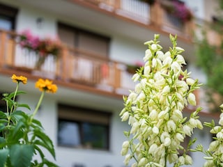 Blumen