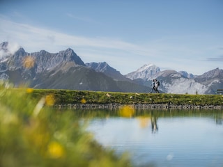 Sommerlandschaft_013