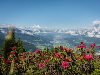 Sommerlandschaft_005