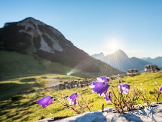 Sommerlandschaft_011