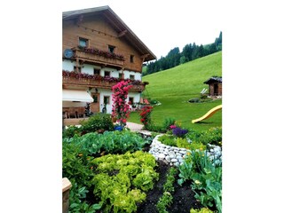 Gemüse- und Kräutergarten