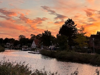 Harle bei Sonnenuntergang