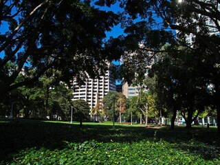Holiday house Sydney Environment 16